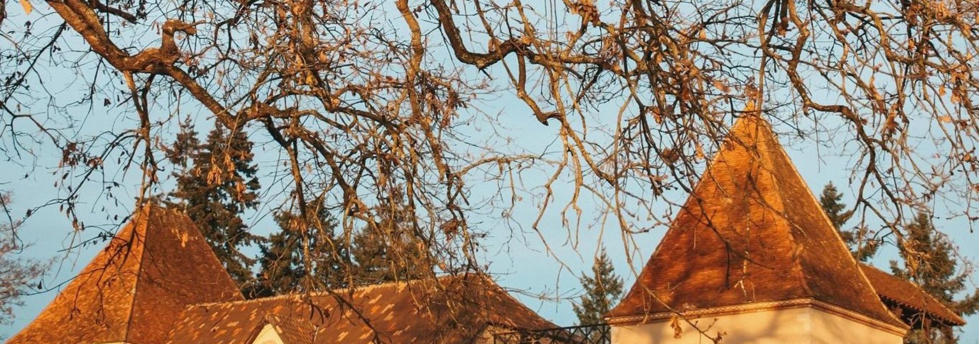 Domaine du Crampilh