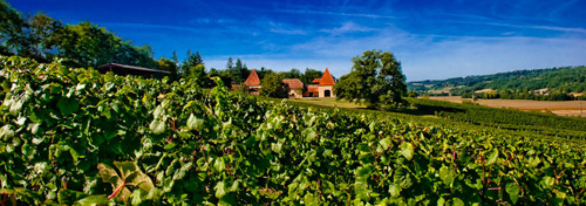 Domaine du Crampilh