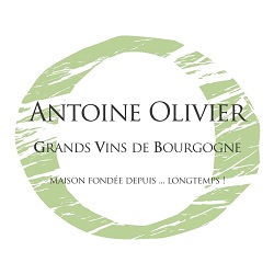 Antoine olivier