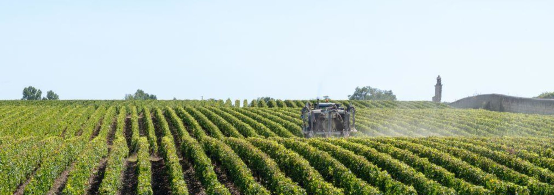 Château Saint-Hilaire – Domaine Uijttewaal