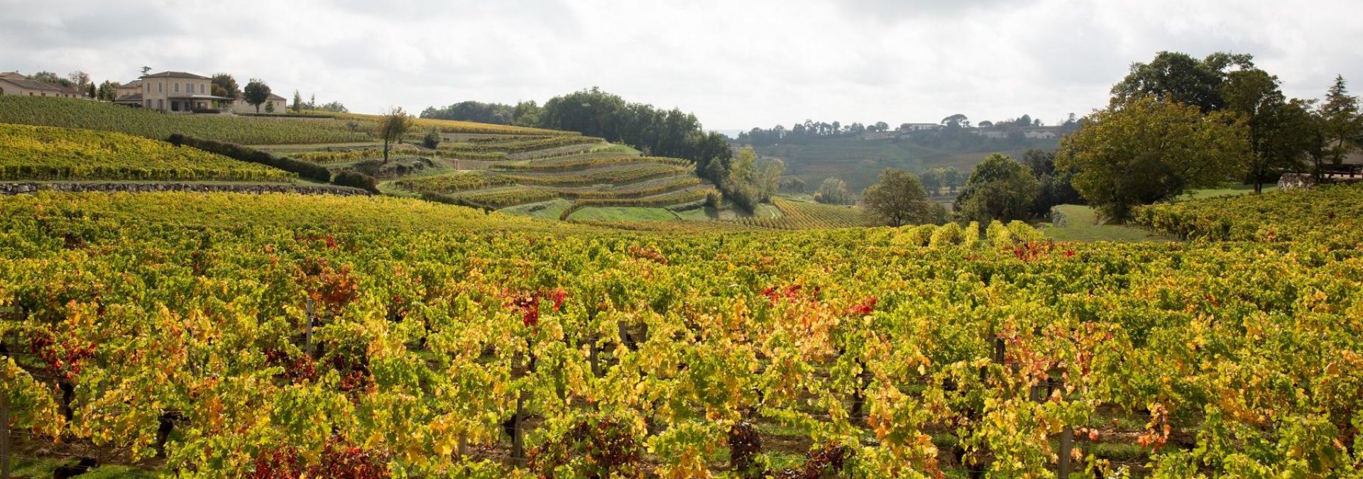 Domaine d’Arpaillan