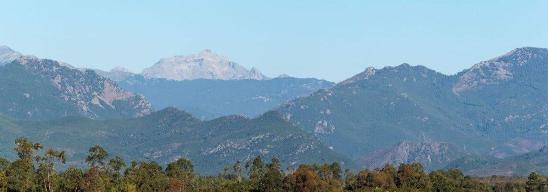 Les vignerons d’Aghione