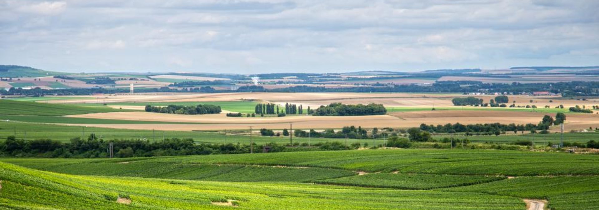 Champagne Jean-Claude Bouchard et fils