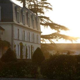 Château Guiraud, 1er Grand Cru Classé en 1855