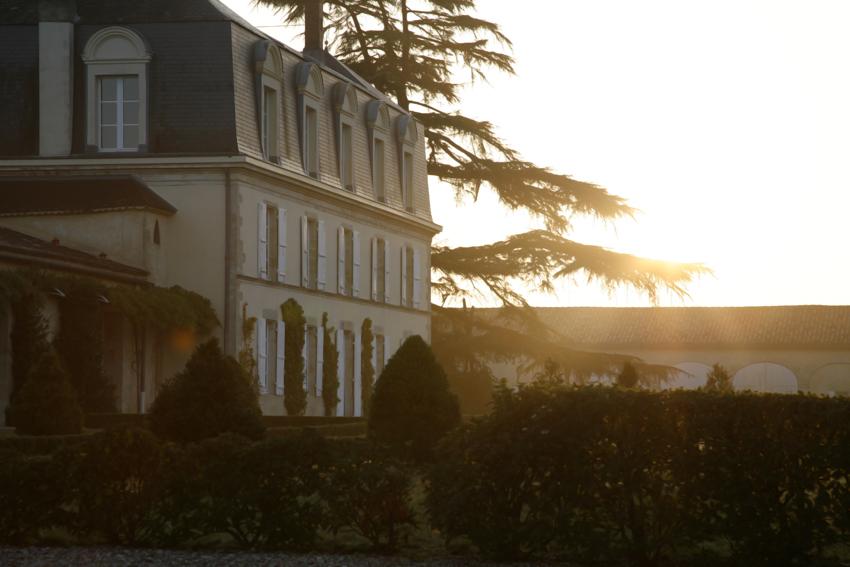 Château Guiraud, 1er Grand Cru Classé en 1855