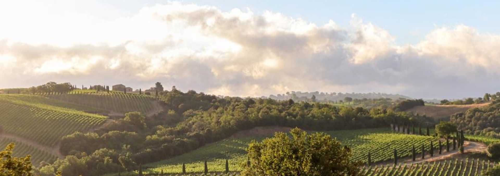 Domaine Martin Clerc