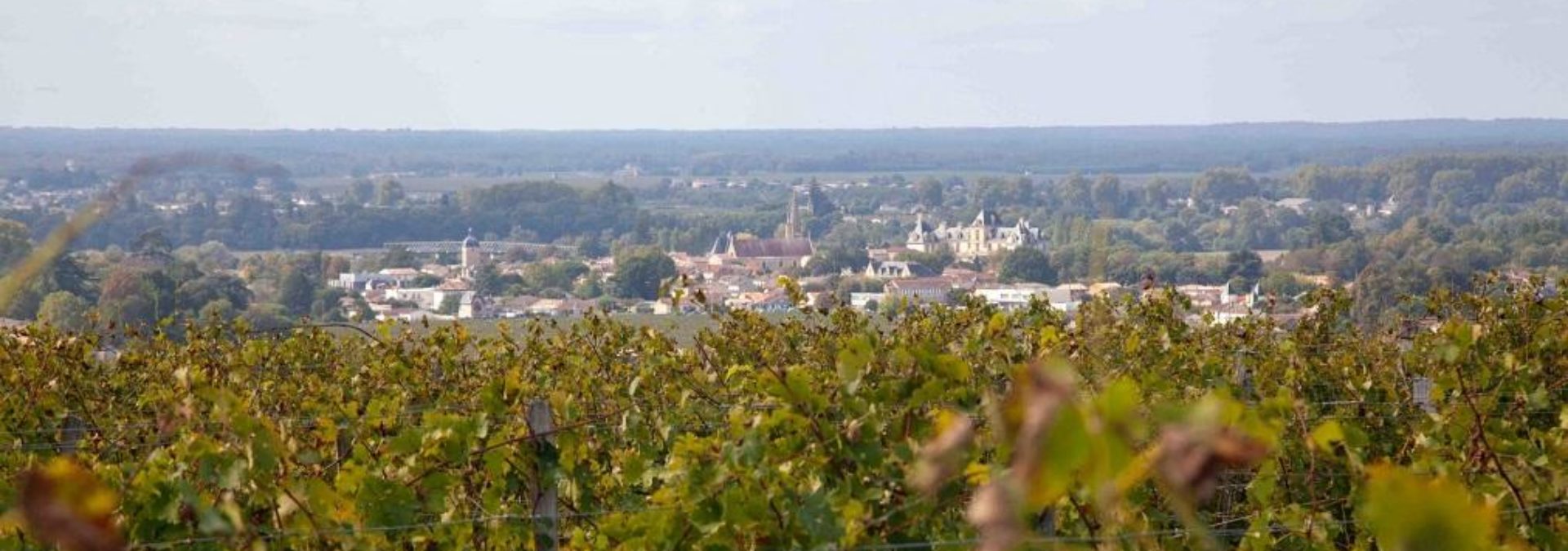 Château Fayau