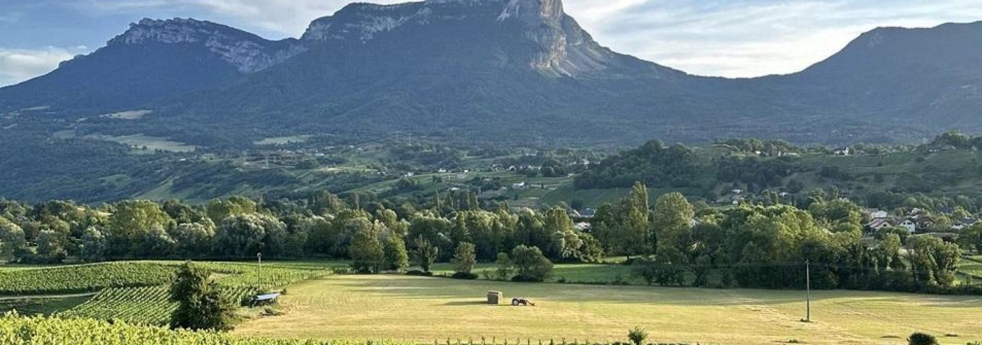 Domaine des Granges Longes