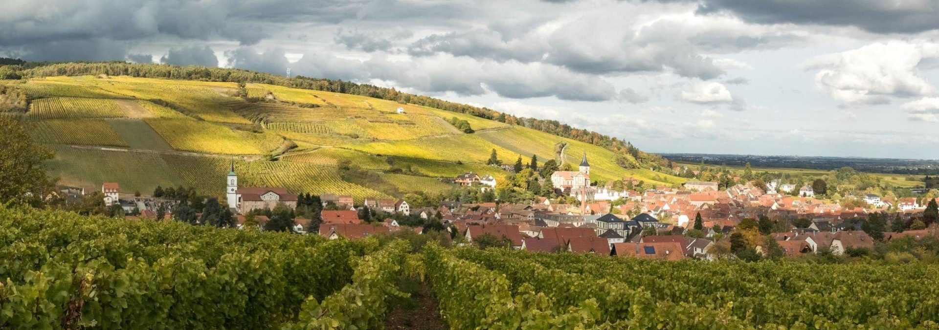 Domaine Stoeffler