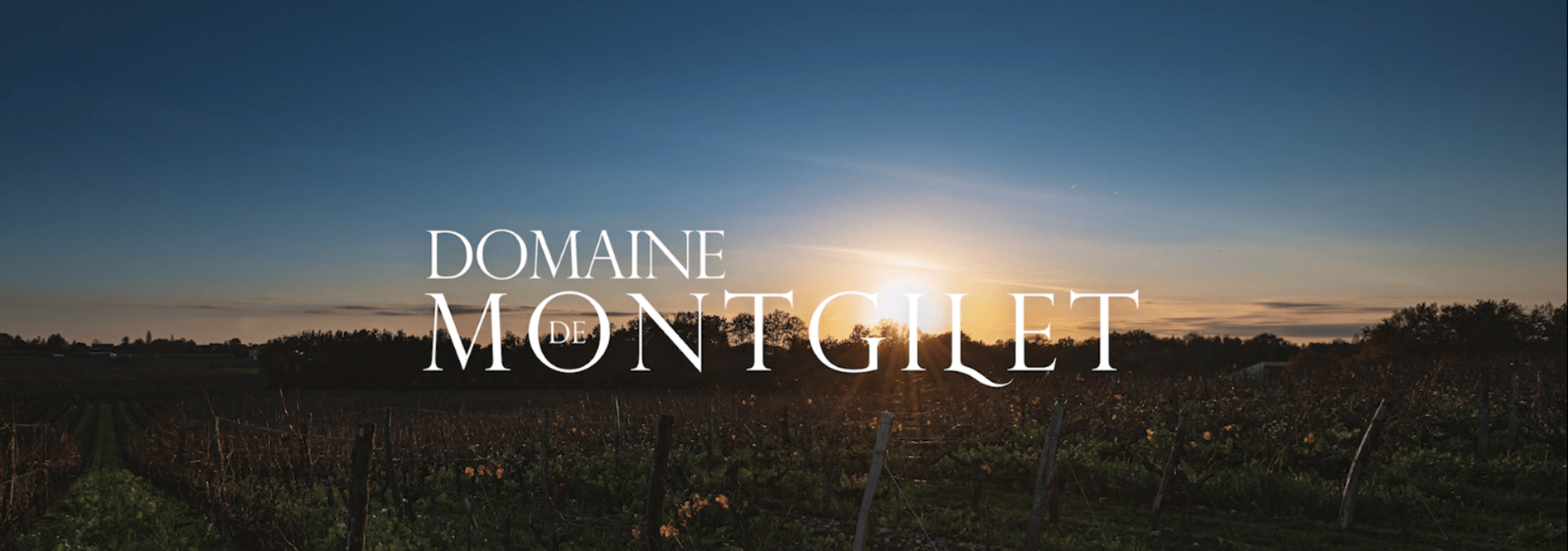 Domaine de Montgilet