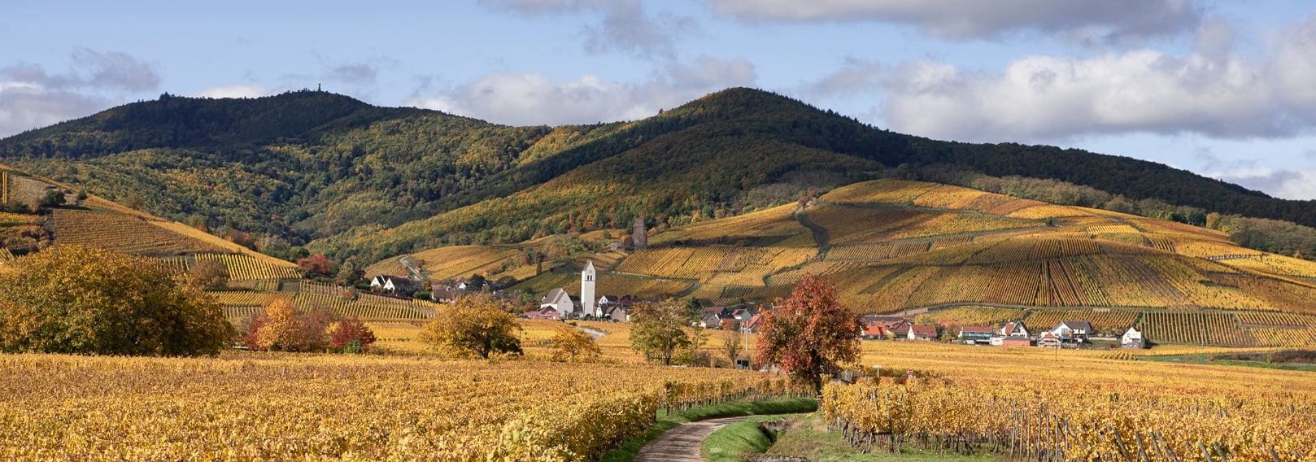 Domaine de l’Envol