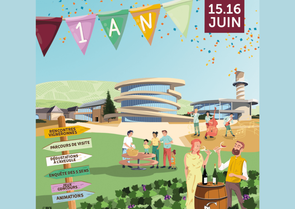 Lot De 50 Fusibles Micro3 Mixte - 5A, 7.5A, 10A, 15A, 20A - Pour Voiture, Auto, Moto