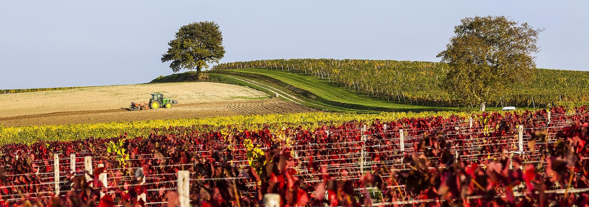 Domaine des Bérioles